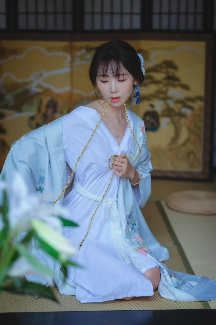 风骚律师